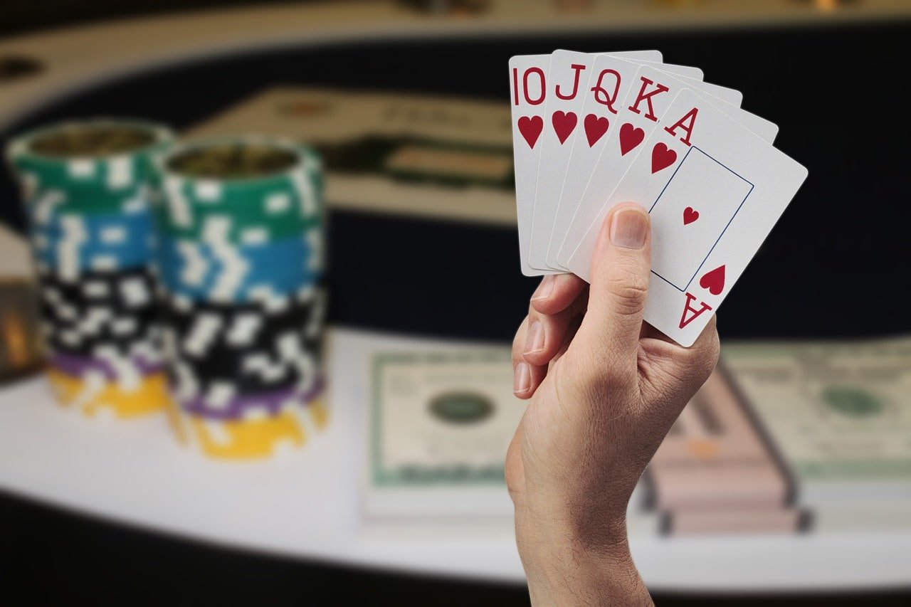 Riwayat hasil Shio Table menampilkan putaran permainan sebelumnya